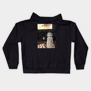 Companion Kids Hoodie